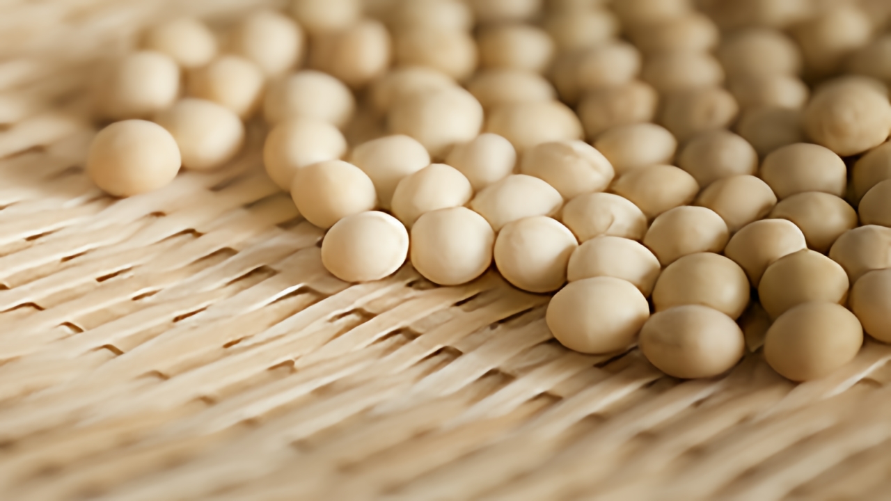 タンパク質足りてますか？