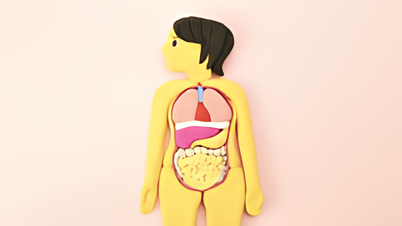 ダイエットにおける基礎代謝アップの要・糖新生